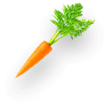 Imagen de una zanahoria